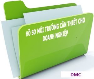 Báo cáo đánh giá tác động môi trường (ĐTM)